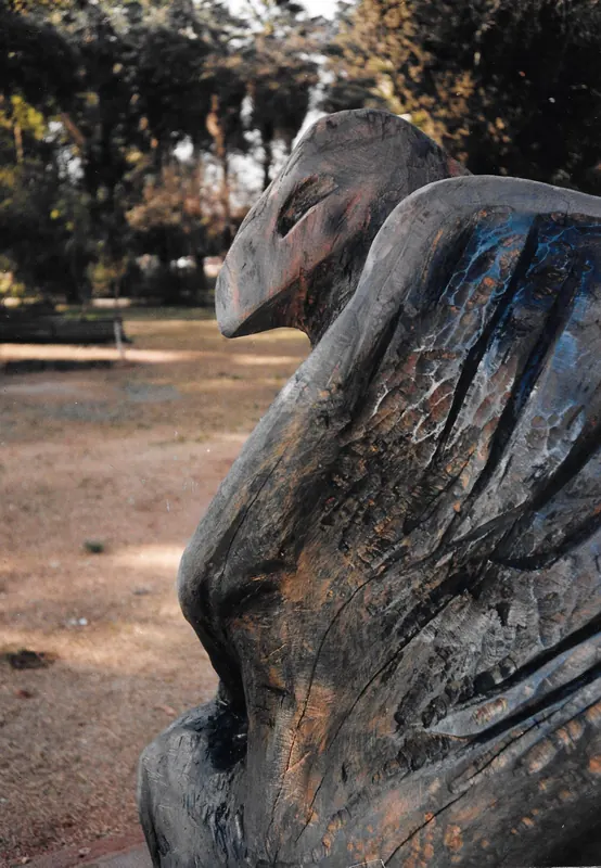Desplegando Vuelos, Detalle